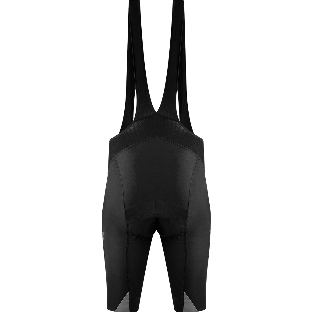 PIPPO Stelvio Bib short back 